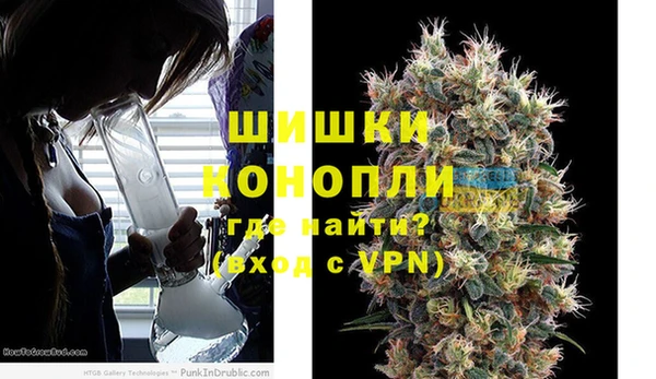 гидра Алексеевка