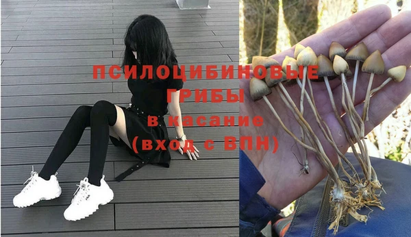 круглые Алзамай