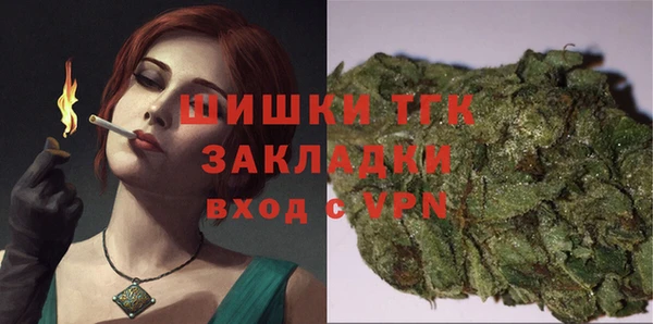 гидра Алексеевка