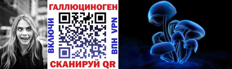 сколько стоит  Шелехов  Псилоцибиновые грибы Psilocybe 