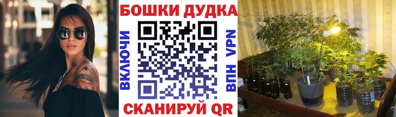 Шишки марихуана конопля  магазин  наркотиков  Шелехов 